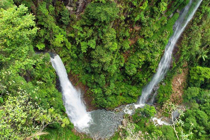 Lamington National Park